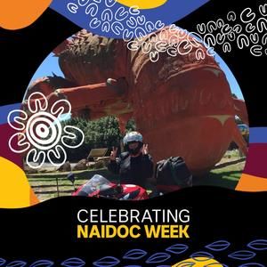 Meet your Posher, Robin